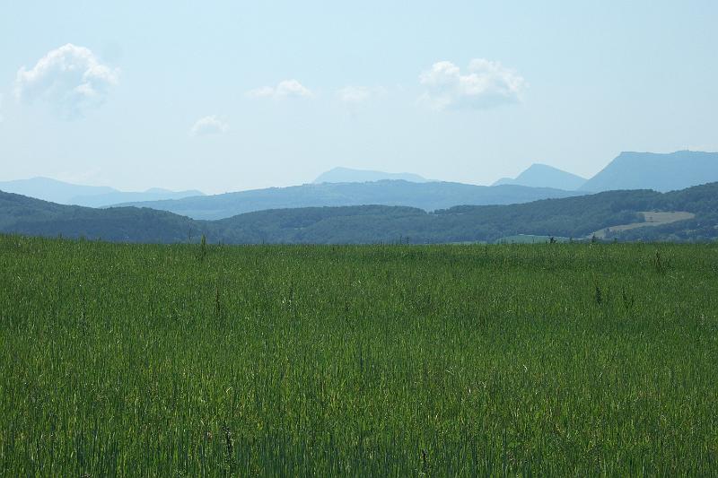 2011-05- (1513).JPG